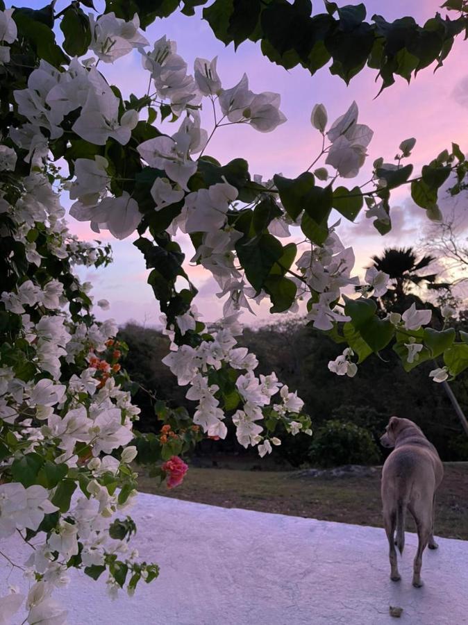 Massalli Sanctuary Lodge San Andrés المظهر الخارجي الصورة